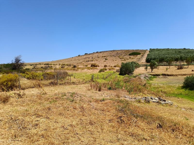 1 Bedroom Property for Sale in Darling Western Cape